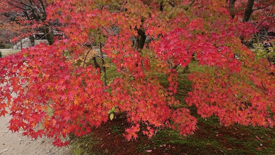 e0345848_09421201.jpg