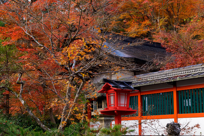 京都の紅葉2017 鍬山神社の錦_f0155048_1723127.jpg