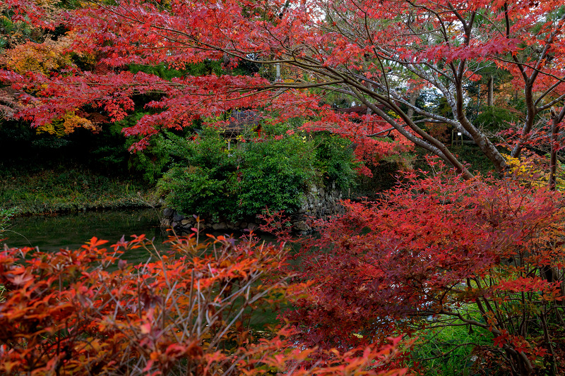 京都の紅葉2017 鍬山神社の錦_f0155048_17235311.jpg