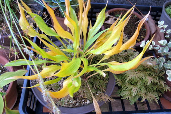 c0147952_12500106.jpg