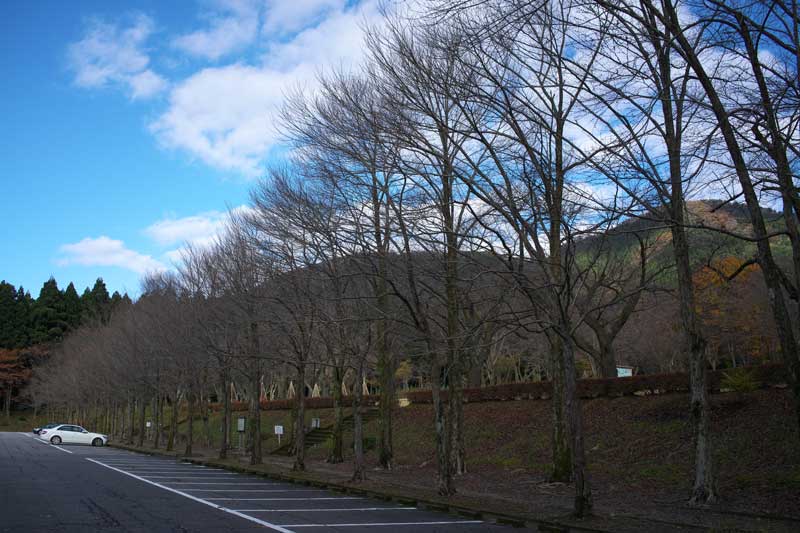 d0342652_17155951.jpg