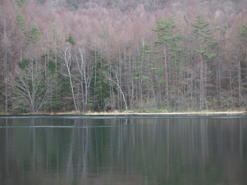b0268454_00371663.jpg