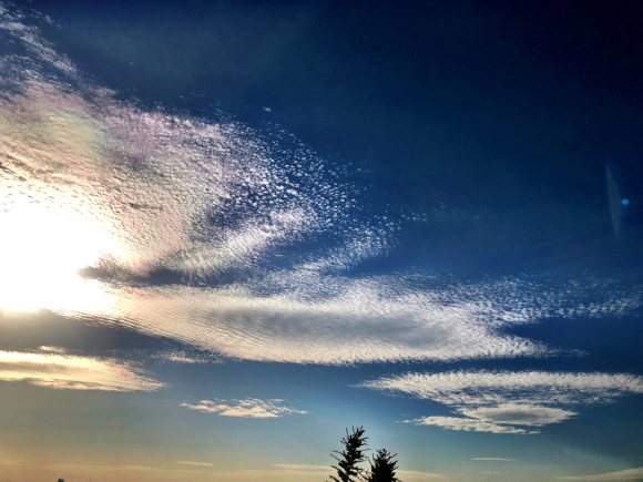b0181457_13342848.jpg