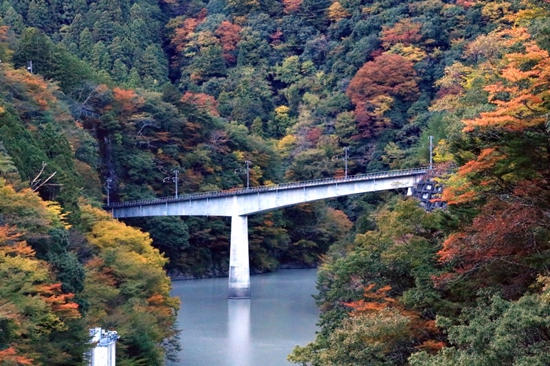 a0167759_15518.jpg