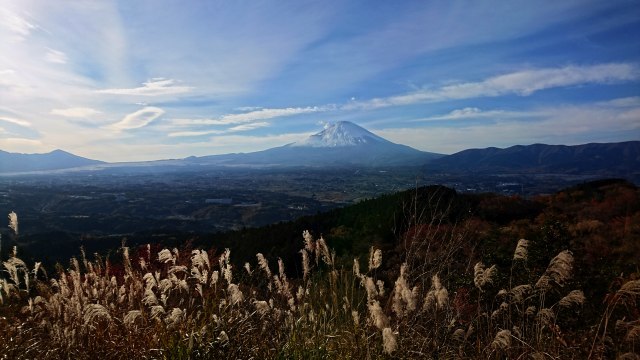 b0024261_14311610.jpg