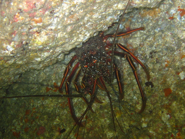 f0164662_13443072.jpg