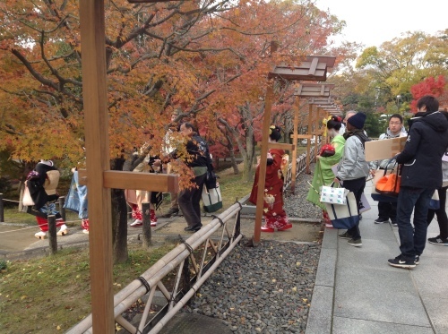 b0153663_15472223.jpeg