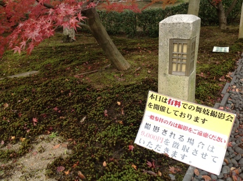 b0153663_17551737.jpeg