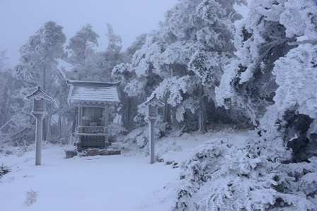 霧の頂上　　八経ヶ岳_c0303868_02340145.jpg