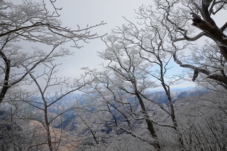 霧の頂上　　八経ヶ岳_c0303868_02372628.jpg