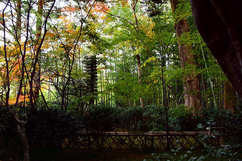 滝口寺・紅葉_c0317868_16164163.jpg