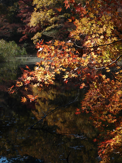 b0006870_17232686.jpg