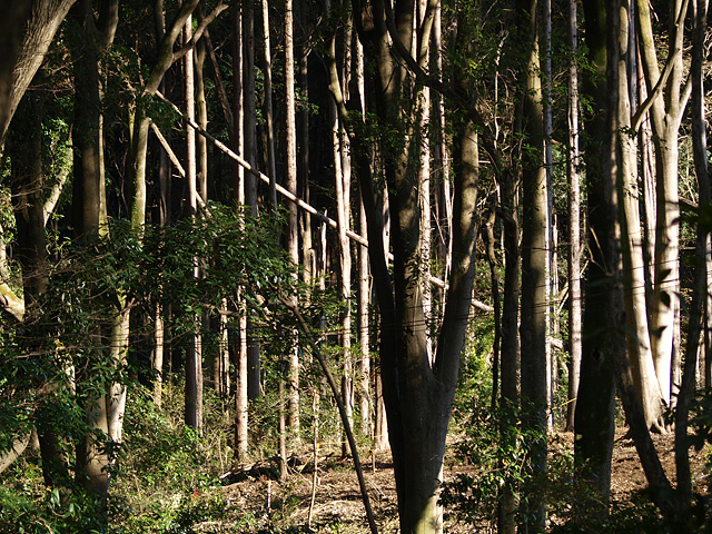 b0006870_17242840.jpg