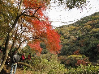 b0162372_19254149.jpg