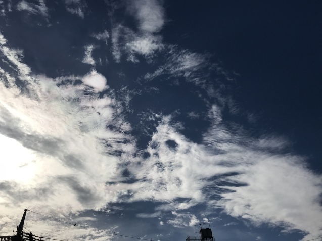 a0130778_10313779.jpeg