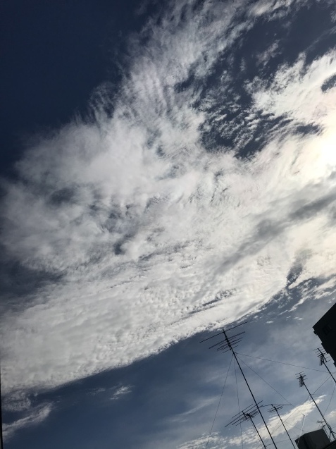 a0130778_10320731.jpeg