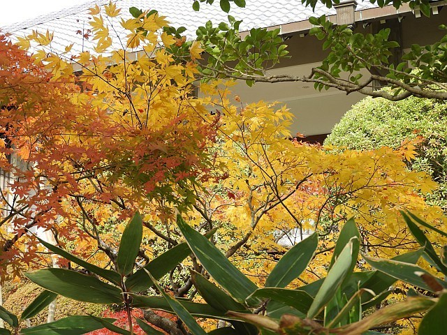 f0378979_21162326.jpg
