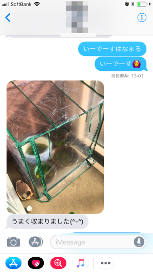 d0370681_22330232.png