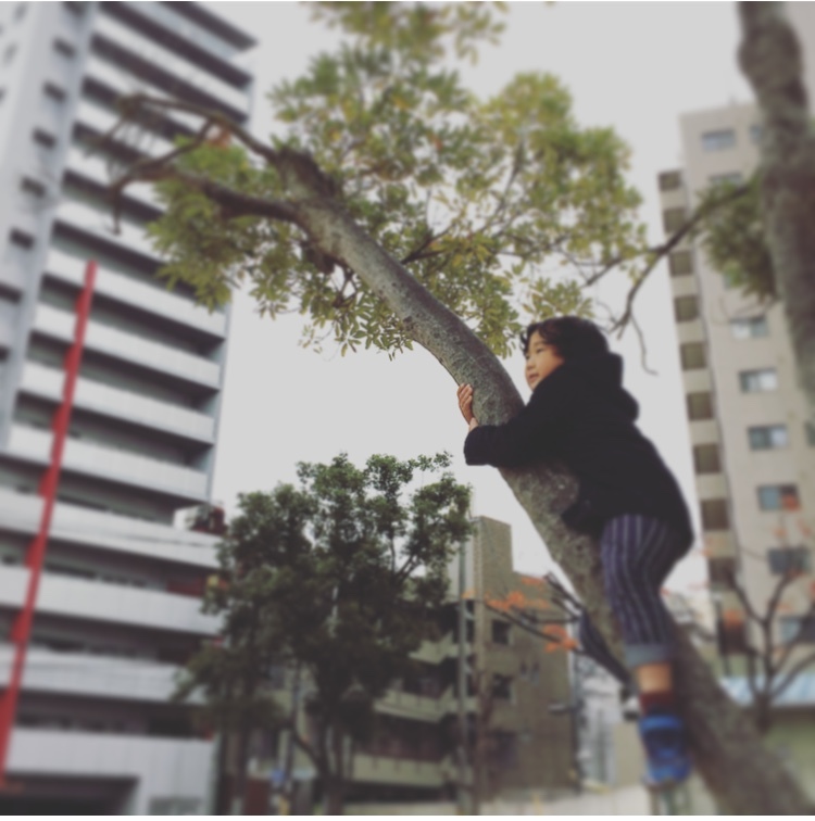 a0092285_15025210.jpeg