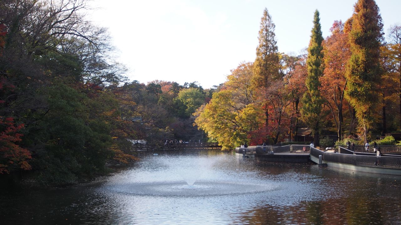 11月のエッセイ 〜 晩秋の街歩き、ホームアンドアウェイ。_f0358090_10363590.jpg