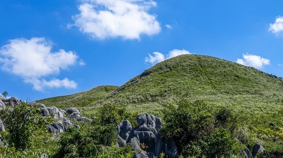 e0176993_07404203.jpg