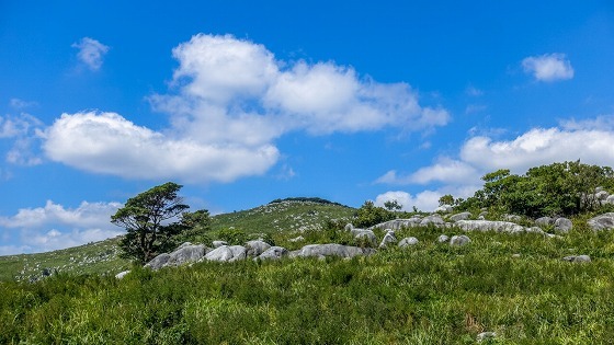 e0176993_07404263.jpg