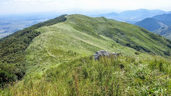 e0176993_07404321.jpg