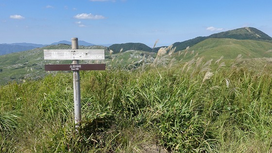 e0176993_07404330.jpg