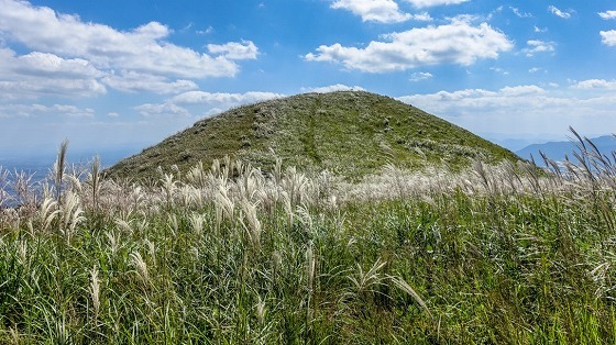 e0176993_07404398.jpg
