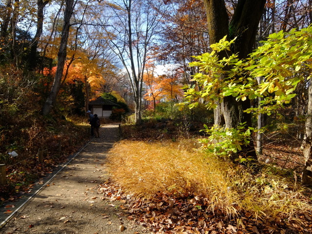 仙台市野草園の紅葉_f0100593_20020831.jpg