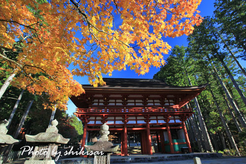 高野山の紅葉_a0135396_21310501.jpg