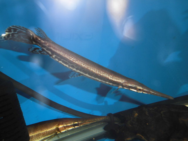 e0143096_17134637.jpg