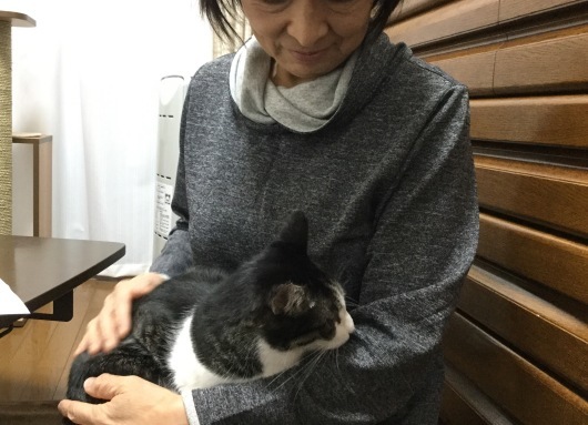 【里親決定の猫】めでたくお届けのカコちゃん。_a0170297_11494351.jpg