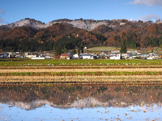 c0008502_824515.jpg