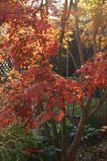 a0123003_22425134.jpg