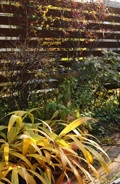 a0123003_22480970.jpg