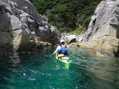 野間岬_f0164003_14461003.jpg
