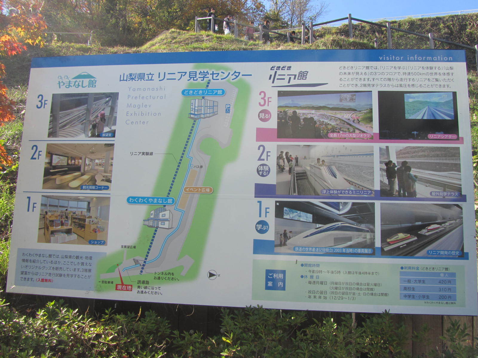 a0100706_20443401.jpg