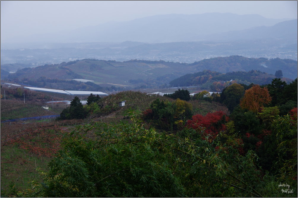 d0342307_11025786.jpg