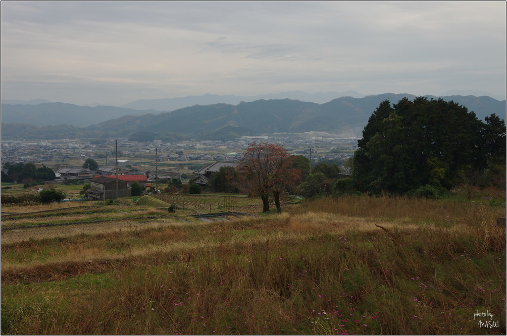 d0342307_21175663.jpg