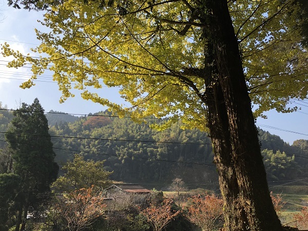 大山祇神社（飯塚市桑曲）_f0364707_16362577.jpg