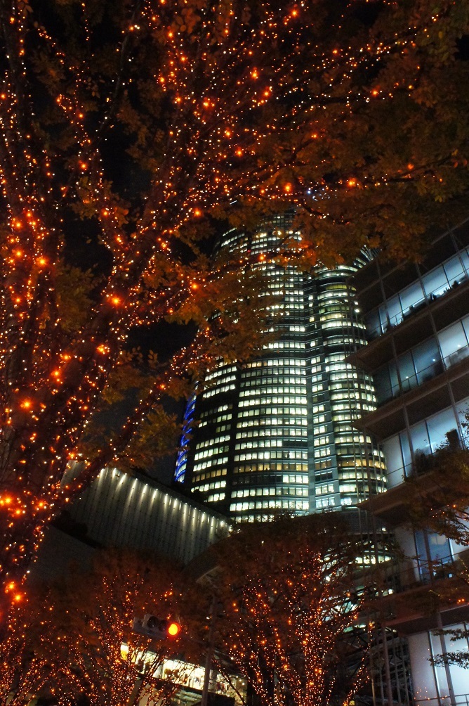 b0112909_21595409.jpg