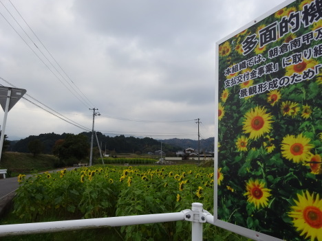 f0231709_22110582.jpg