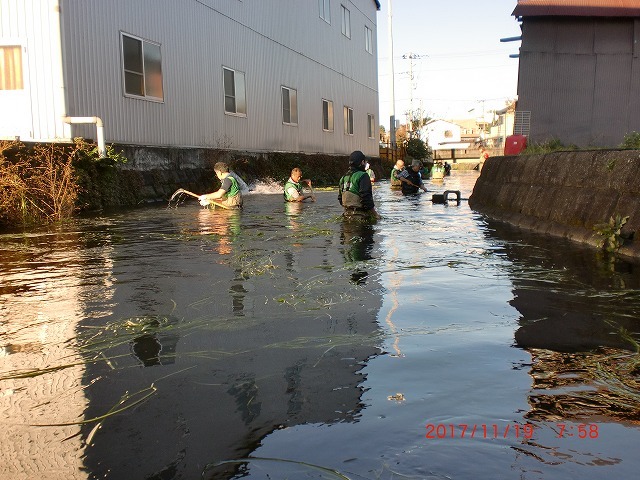 一度刈らないと水位が高く胴長に浸水　今年最後の田宿川の川そうじ_f0141310_07541152.jpg