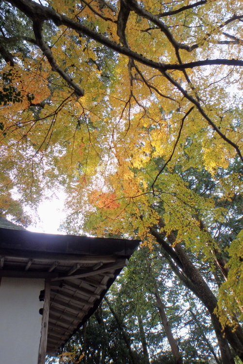 ツーリング　本山寺～アウトドアランチ(^^ゞ_f0368610_09140276.jpg