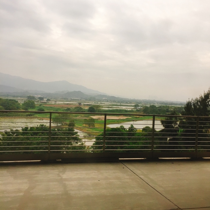 d0138811_06011717.jpeg