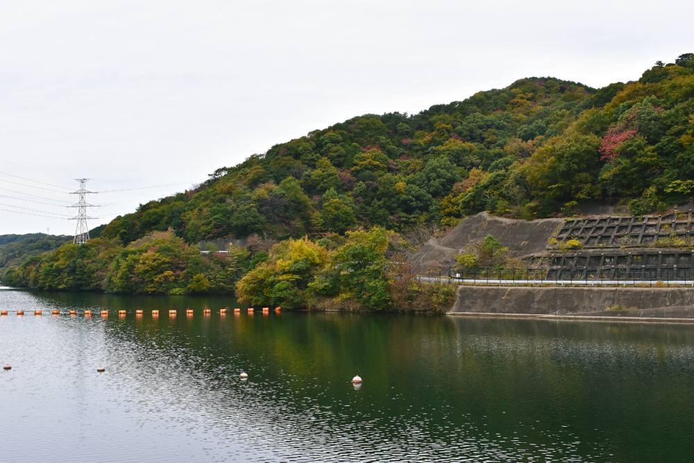 f0212511_21404567.jpg