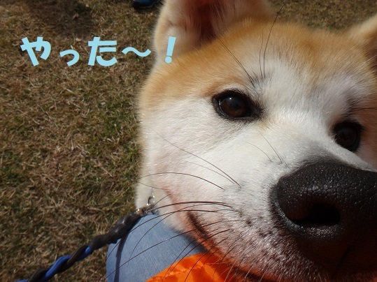 f0121712_13163227.jpg