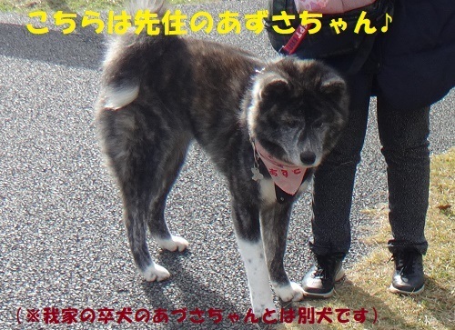 f0121712_13552191.jpg