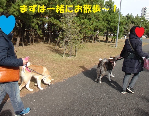 f0121712_14145343.jpg